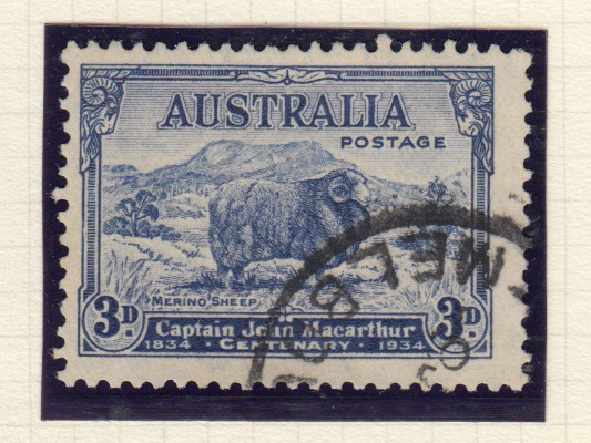 3d Australian Macarthur