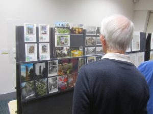 Kew Gardens display